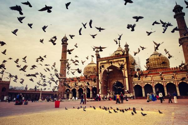 Old and New Delhi Private Day Tour by Car from Delhi